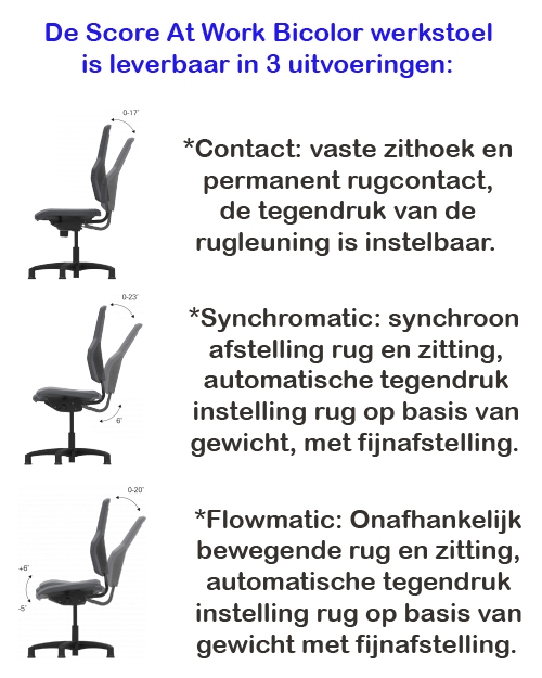 Score At Work 01 verhoogde uitvoering met voetenring