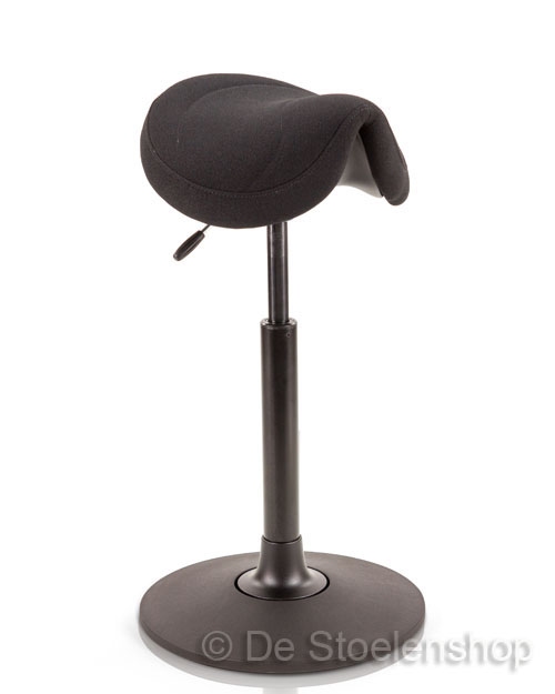 Zadelzitting Score Office Amazone Polo